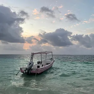  Gasthuis Home's Jungle Puerto Morelos 20 Minutes From The Airport Mexico